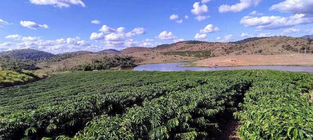 Fazenda de Café 220 Mil Pés - 4500sc de Produtividade - Foto 5