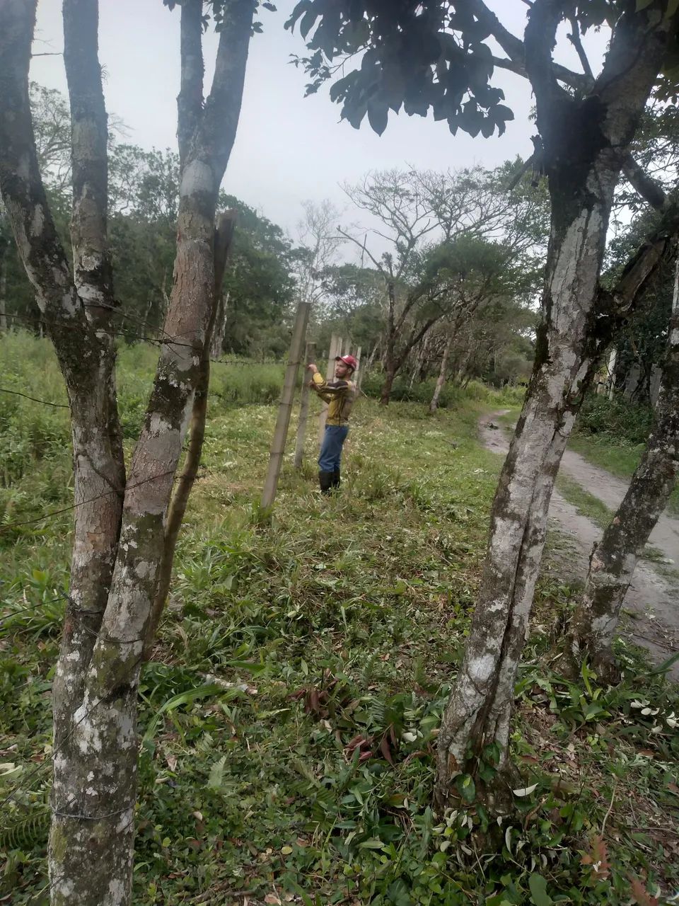 Foto - Cubatão - Vila Natal