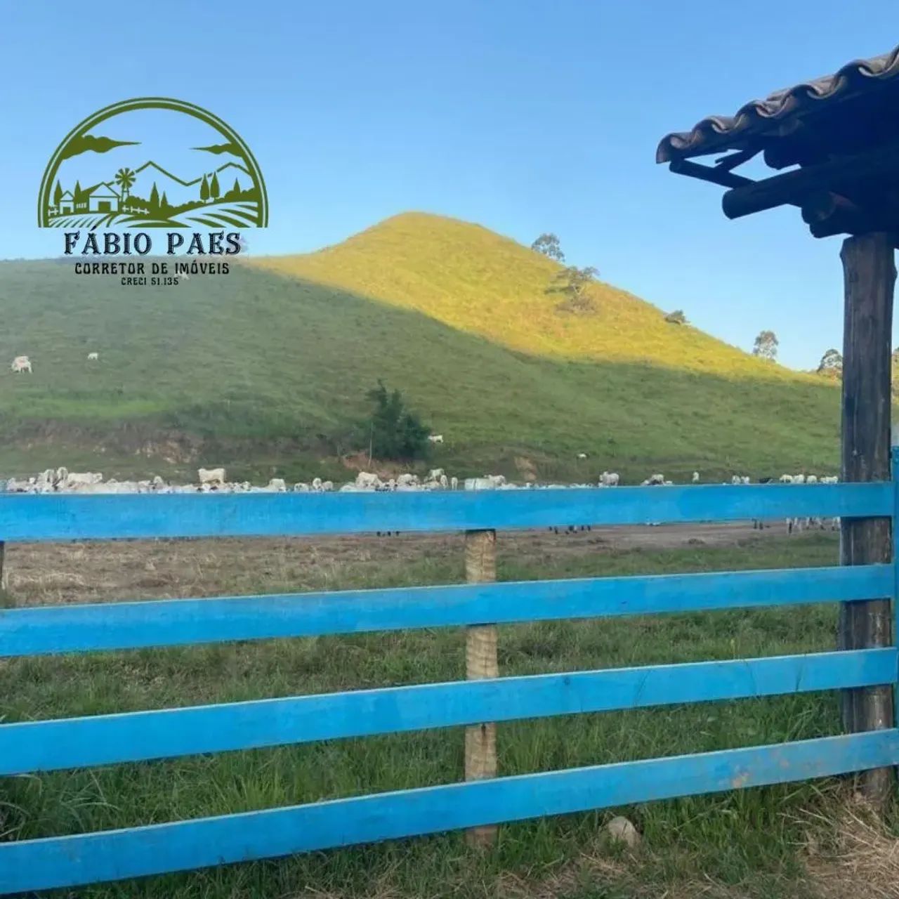 fazenda à venda com 359 hectares. - Foto 3