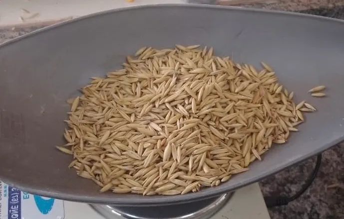 Alimentação animal Feno - Foto 3