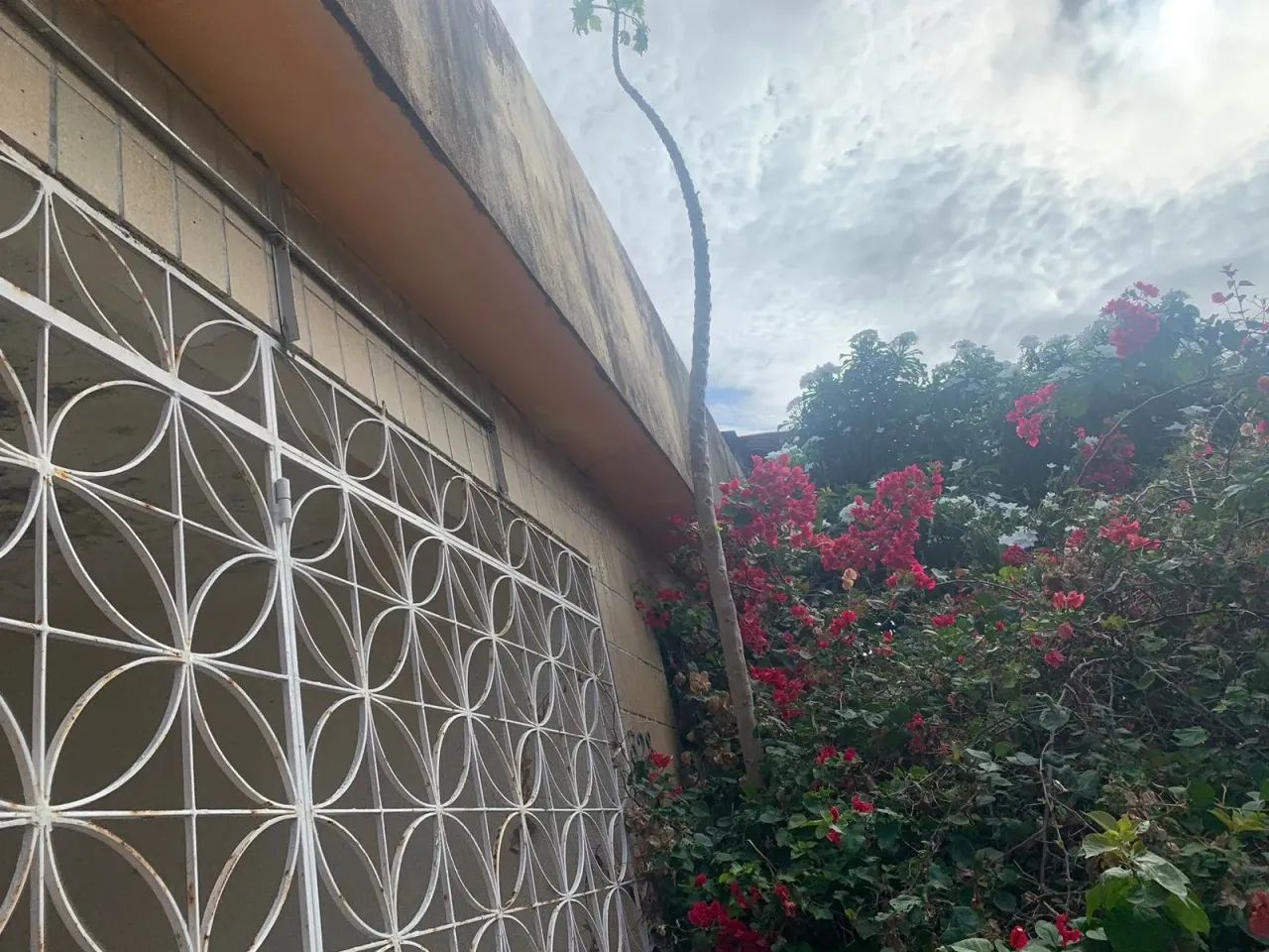 Casa para venda com 221 metros quadrados  em Amadeu Furtado - Fortaleza - Ceará - Foto 2