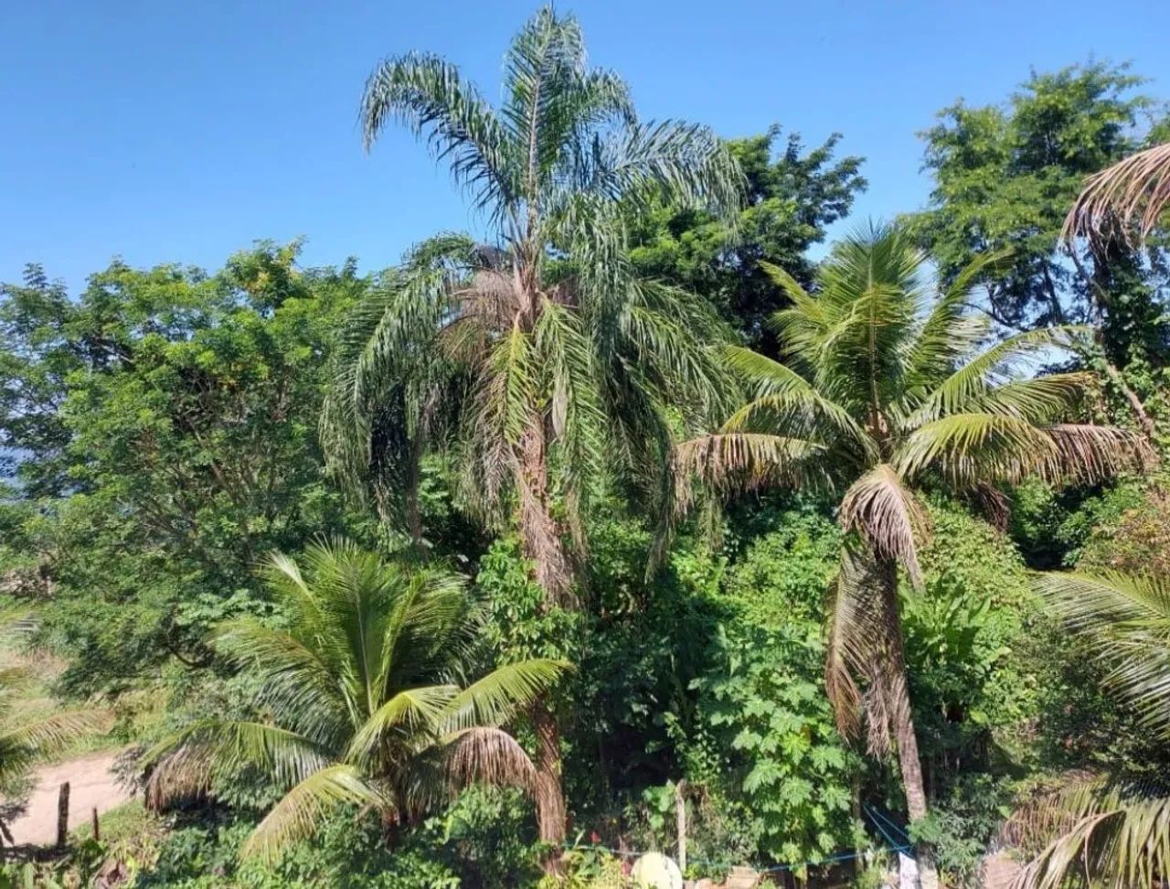 Alugo kit net , Muriqui - Foto 5