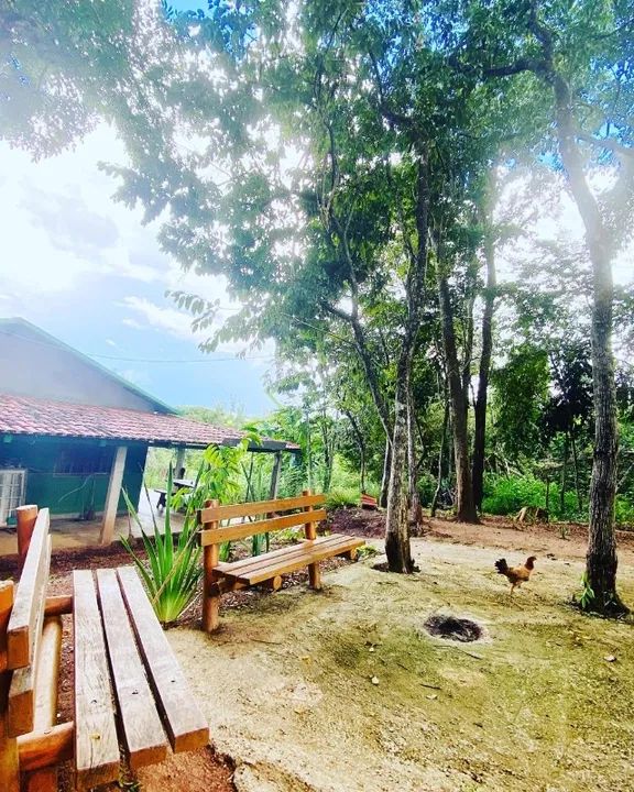 Chácara em Caldazinha com 24.000 M2. - Foto 5