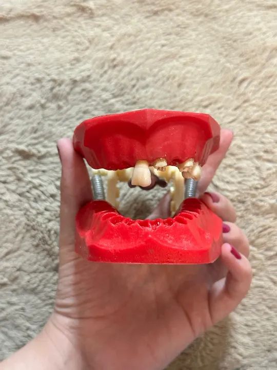 Manequim de Endodontia MOM