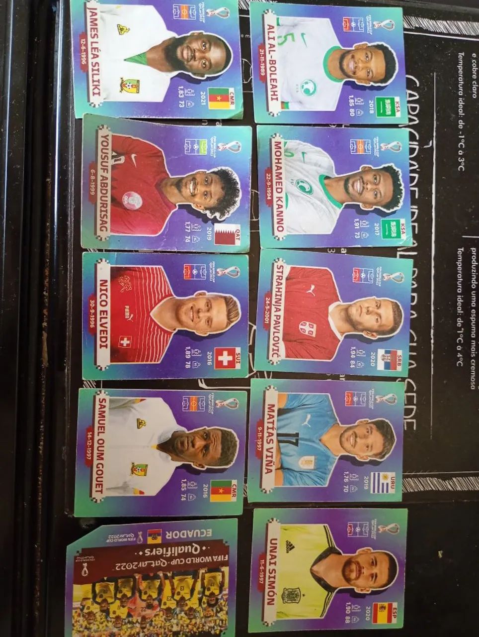Lote com 17 figurinhas copa do mundo 2022 panini 