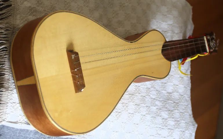 Viola de Cocho 2019 - Foto 3