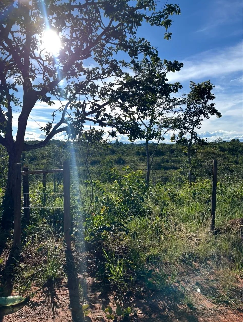 Foto - Montes Claros - Centro
