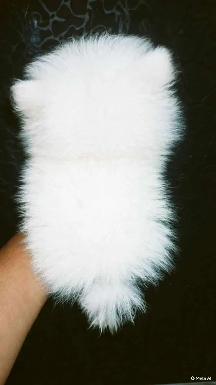 Lulu branco M - Foto 2