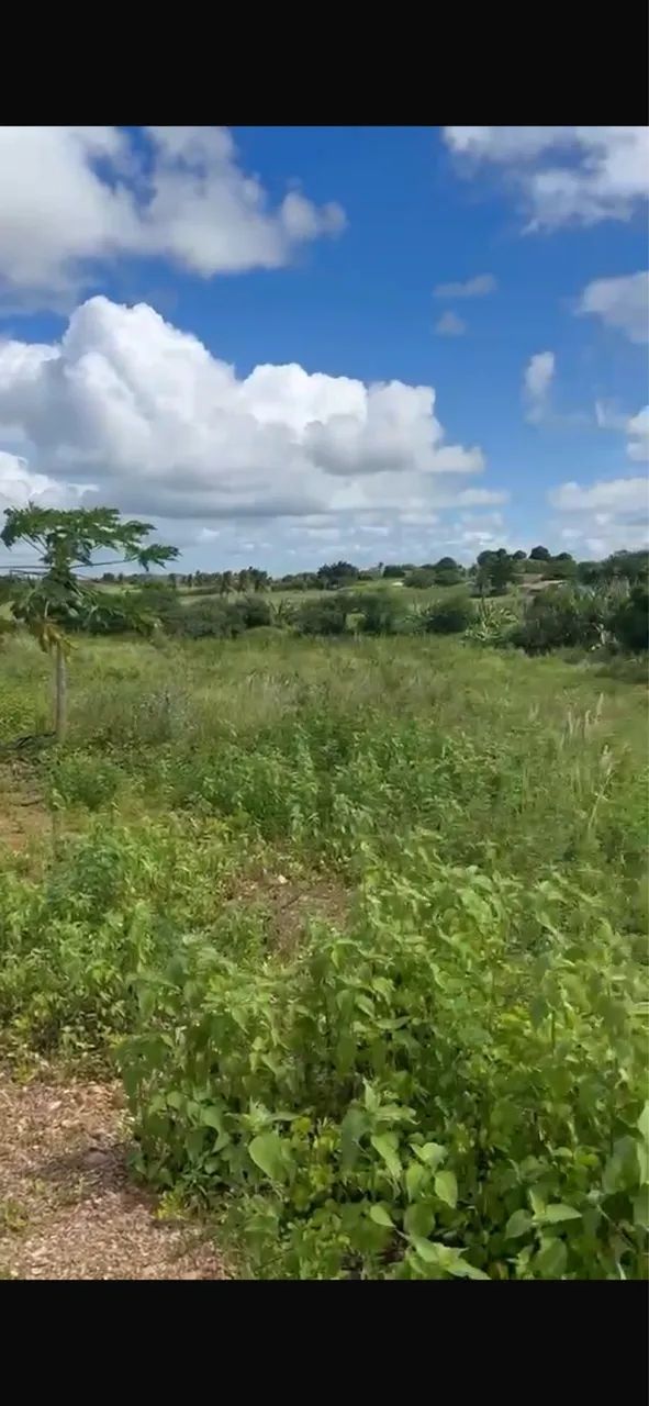 Terreno povoado forno  - Foto 4