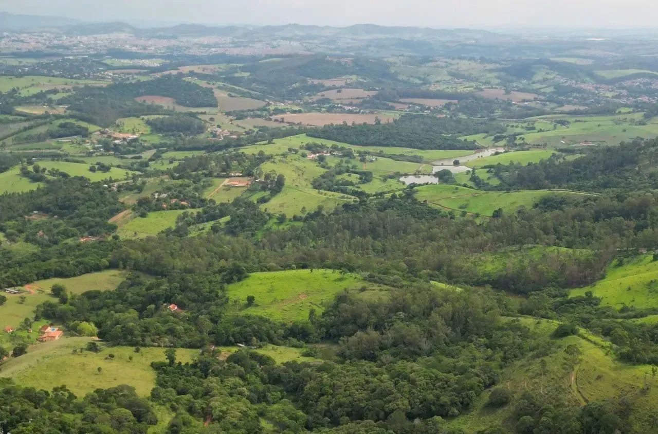 Imóvel para venda possui 65000 metros quadrados em Área Rural de Pinhalzinho - Pinhalzinho - Foto 8
