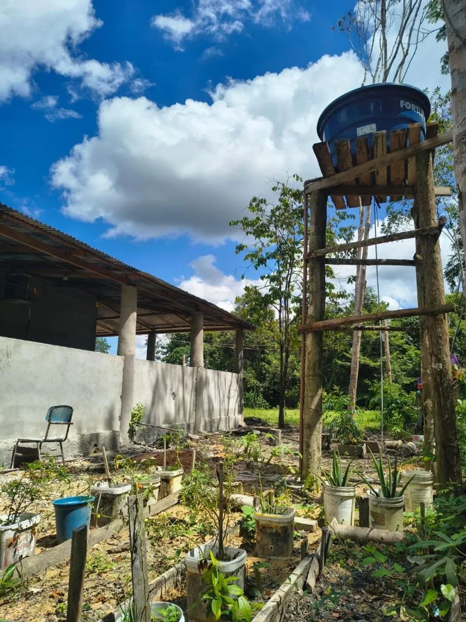 Sítio com uma casa - Foto 2