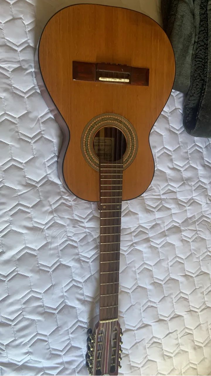 Viola caipira 