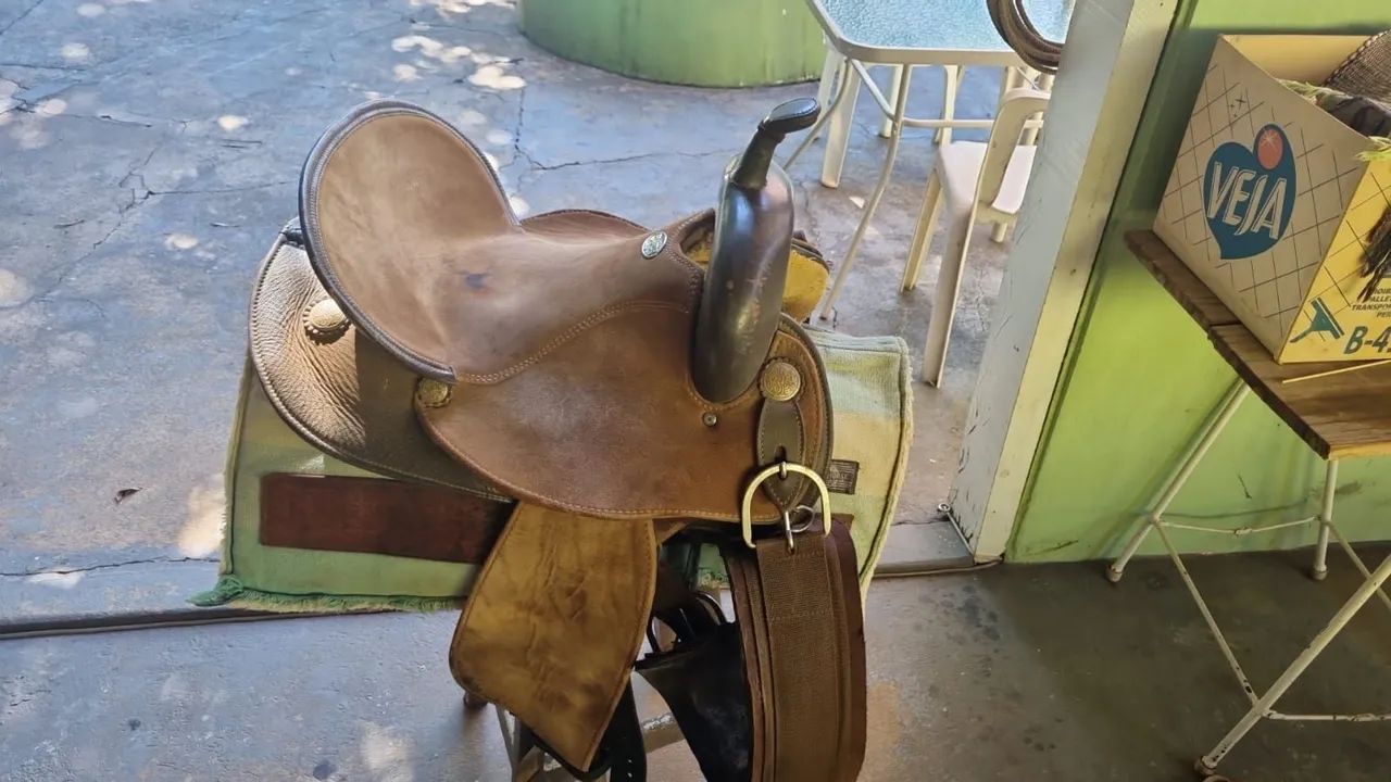 Sela de cavalo da Master  - Foto 4