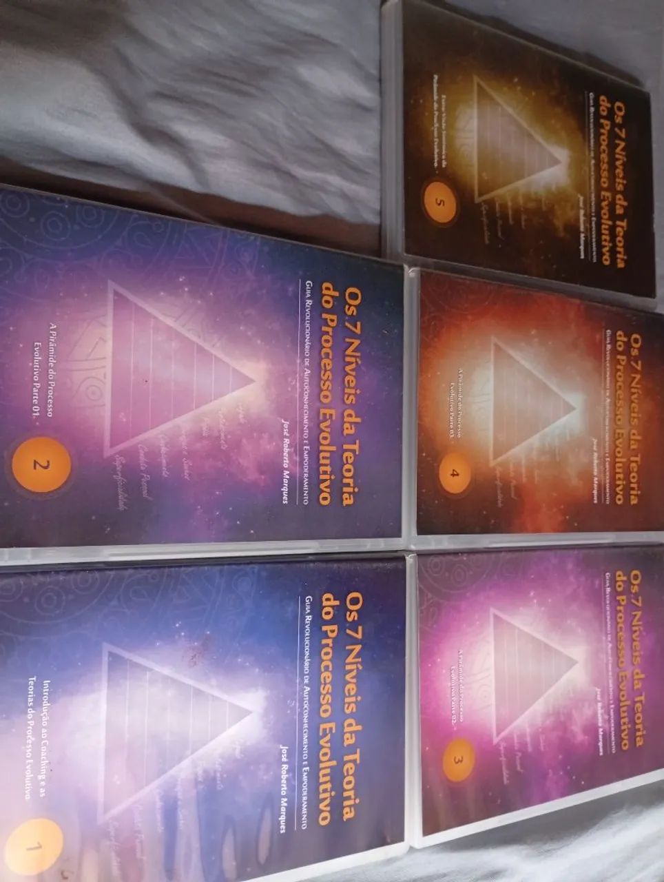 Os 7 Níveis da Teoria do Processo Evolutivo - Foto 2