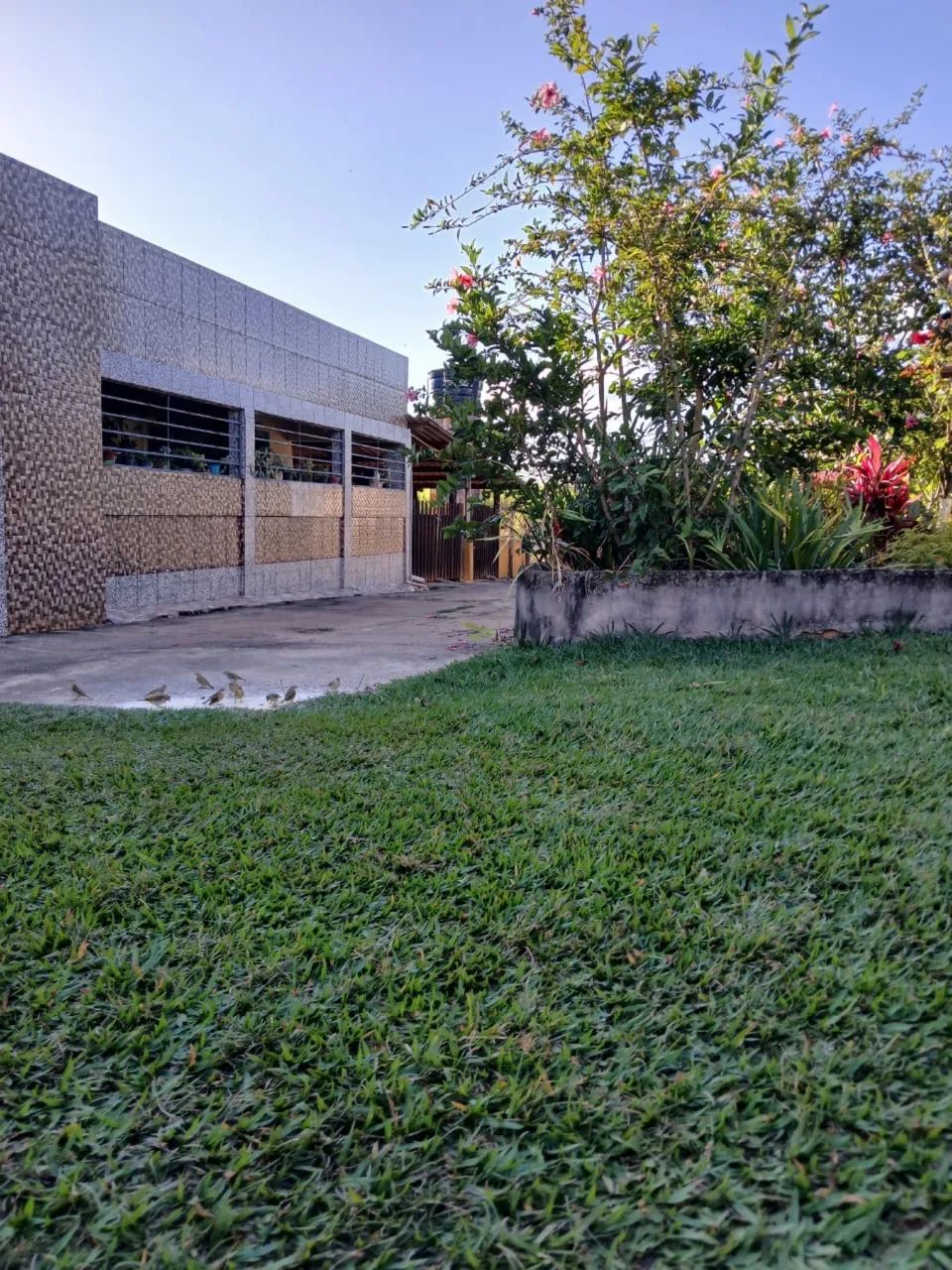 Vendo chácara/ sítio em São João da Aliança - GO - Foto 3