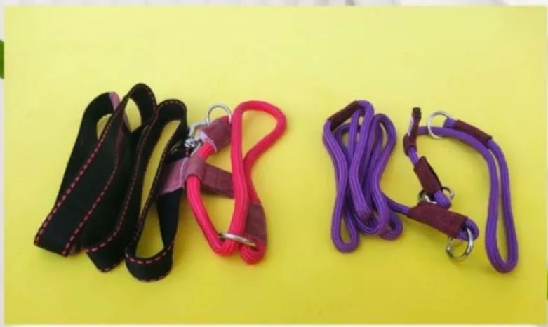 Guias para Pets lindas