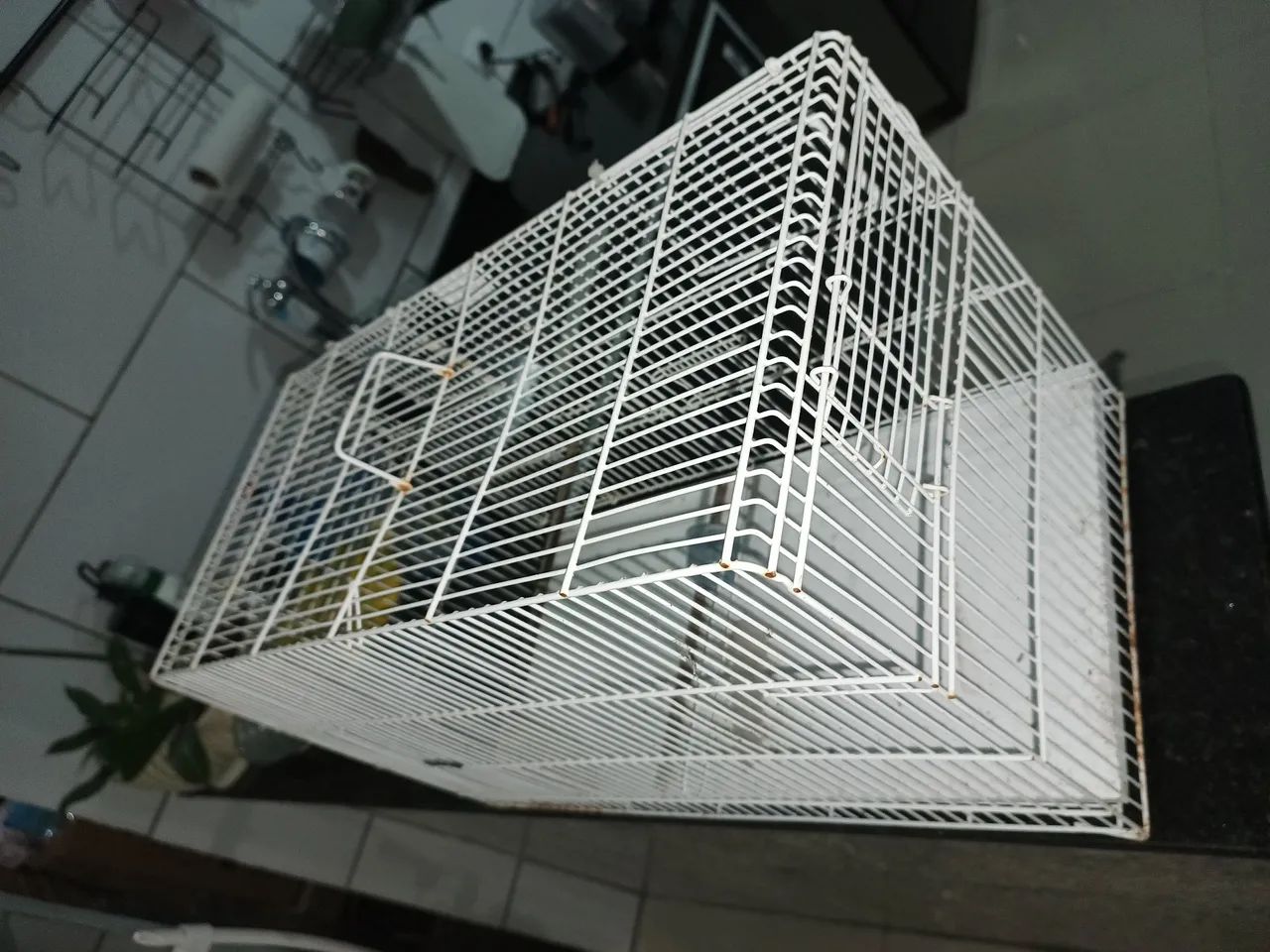 Gaiola criação  - Foto 3