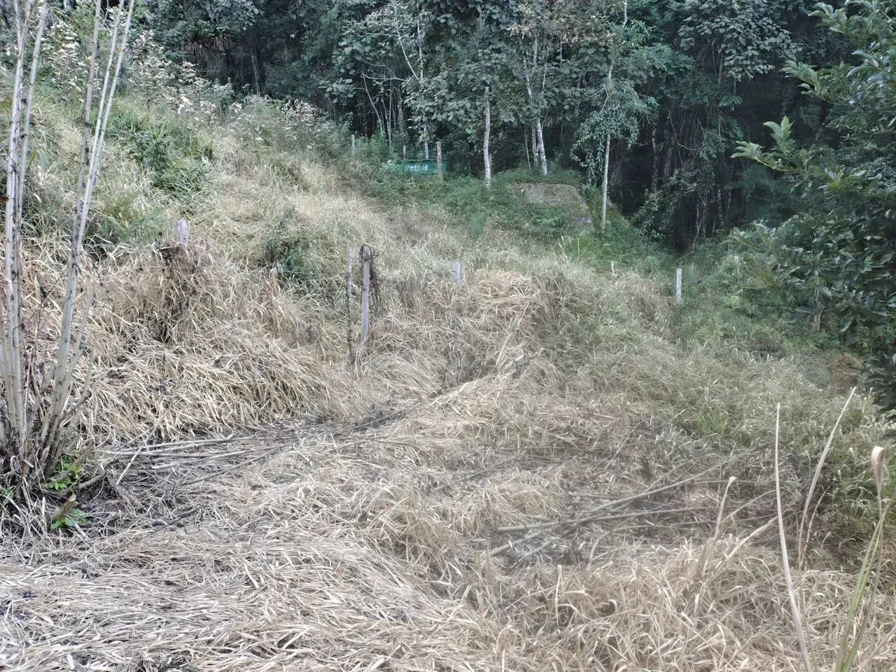 terreno 21 mil m2 com água. em Joanópolis SP - Foto 2