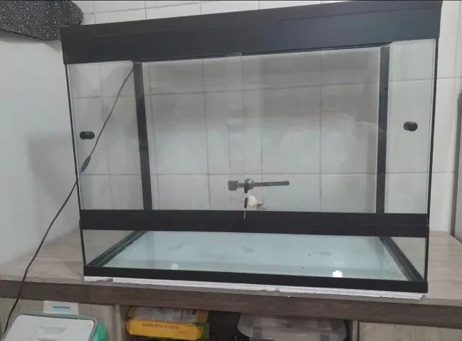 terrario completo