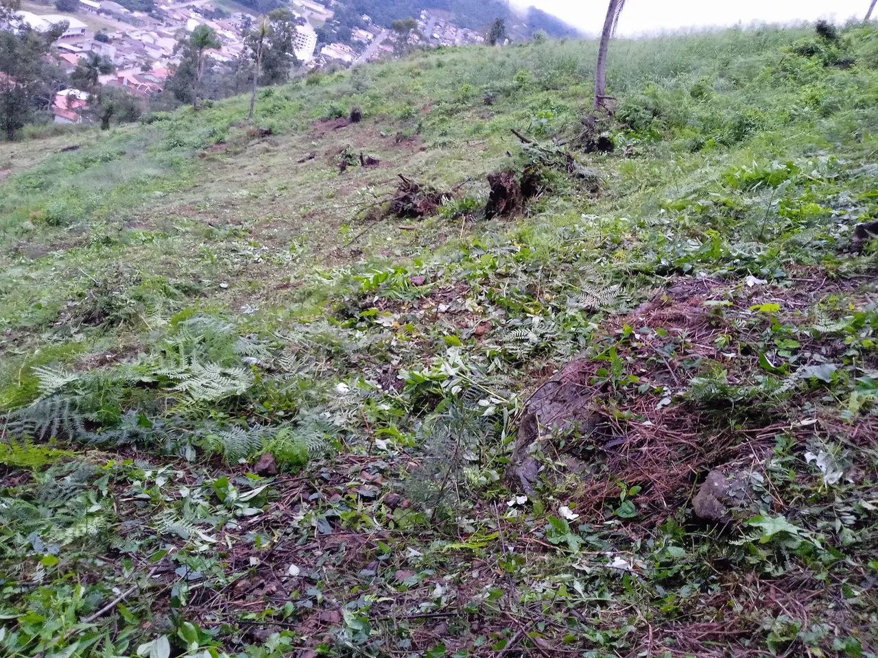 Sítio  - Foto 3