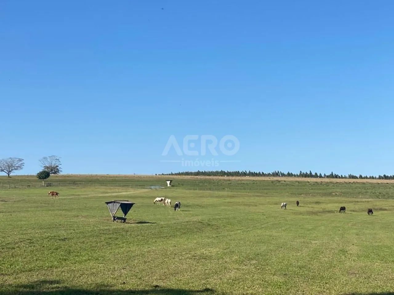 Fazenda com 153 m² e 3 quartos em Rural, Duartina - SP - Foto 3