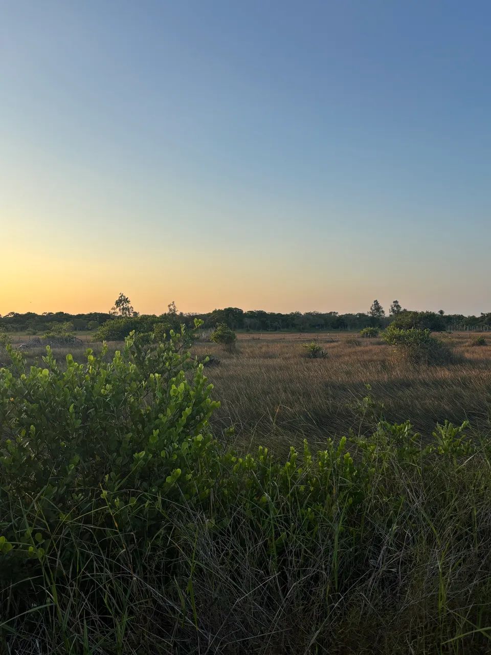 Terreno a venda - Foto 5