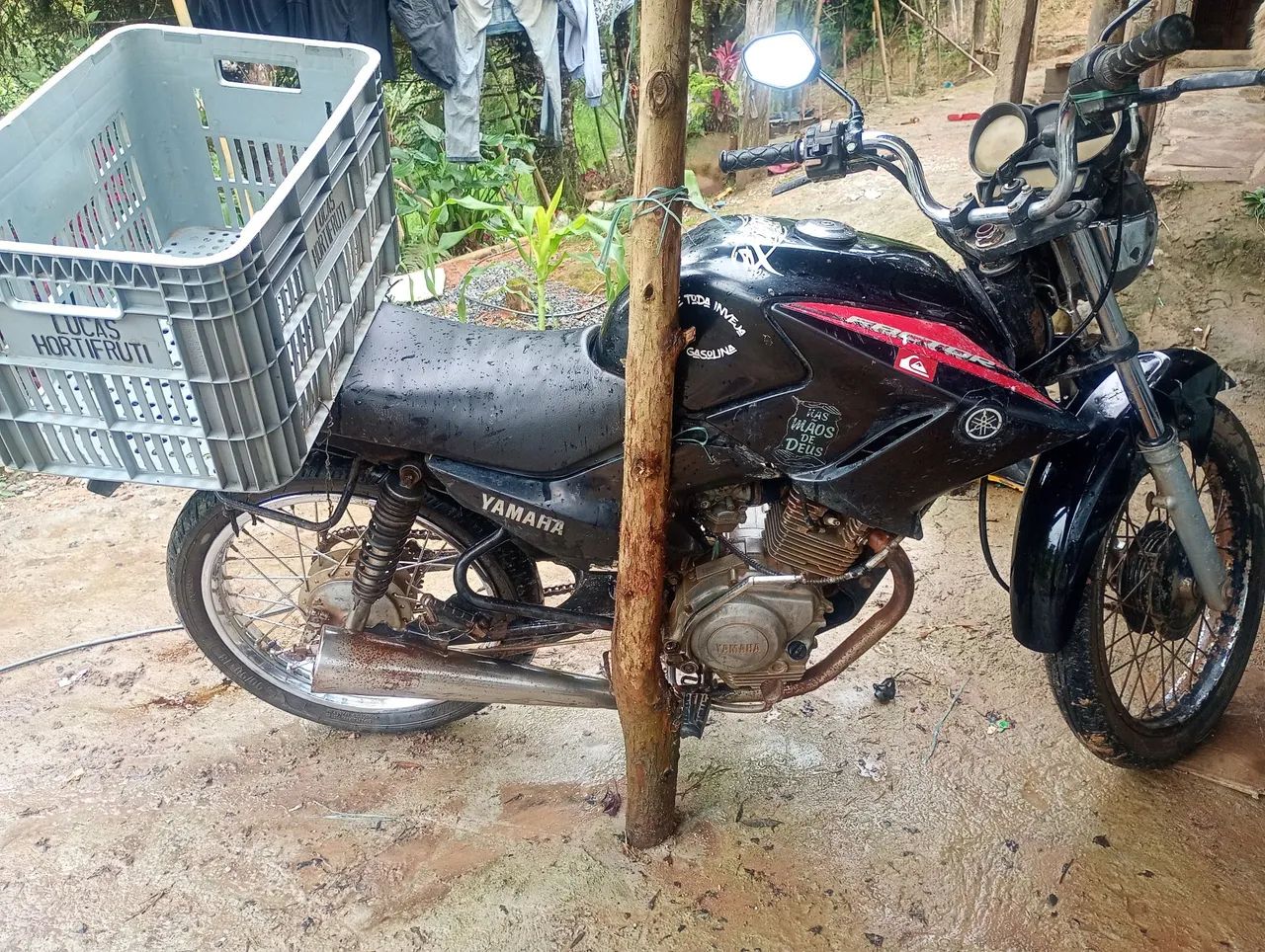 Moto  - Foto 2