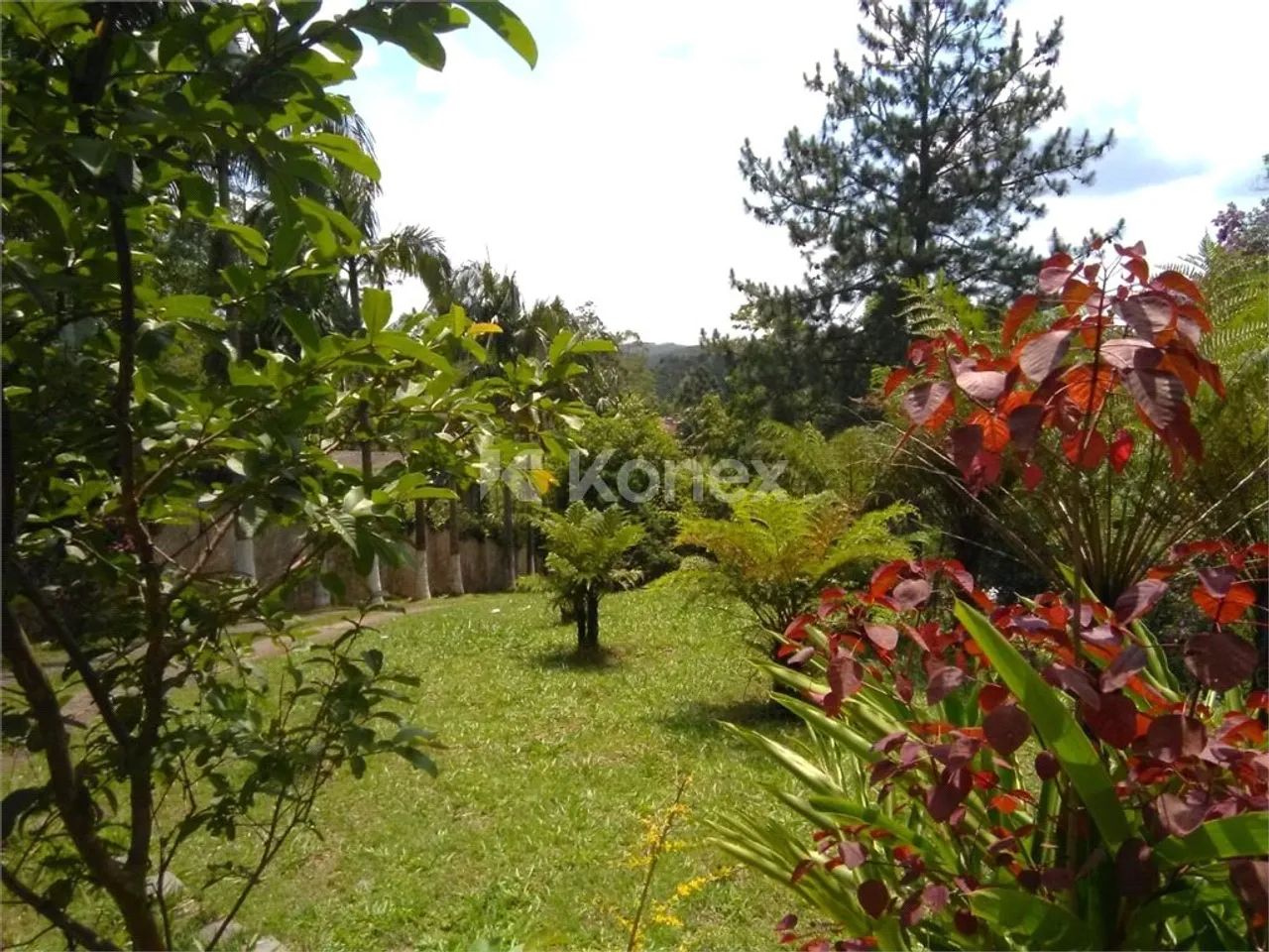 Casa à venda com 3 quartos em Centro, São Lourenço da Serra - Foto 2