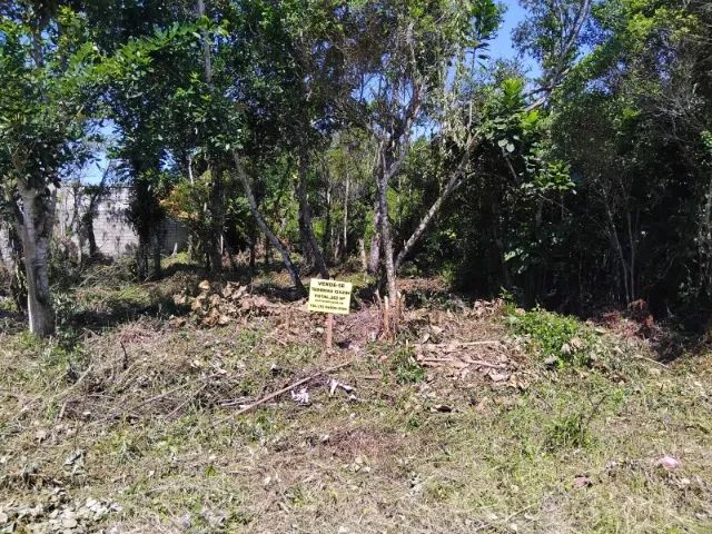 02 TERRENOS COM 12M DE FRENTE E 21M DE FUNDOS