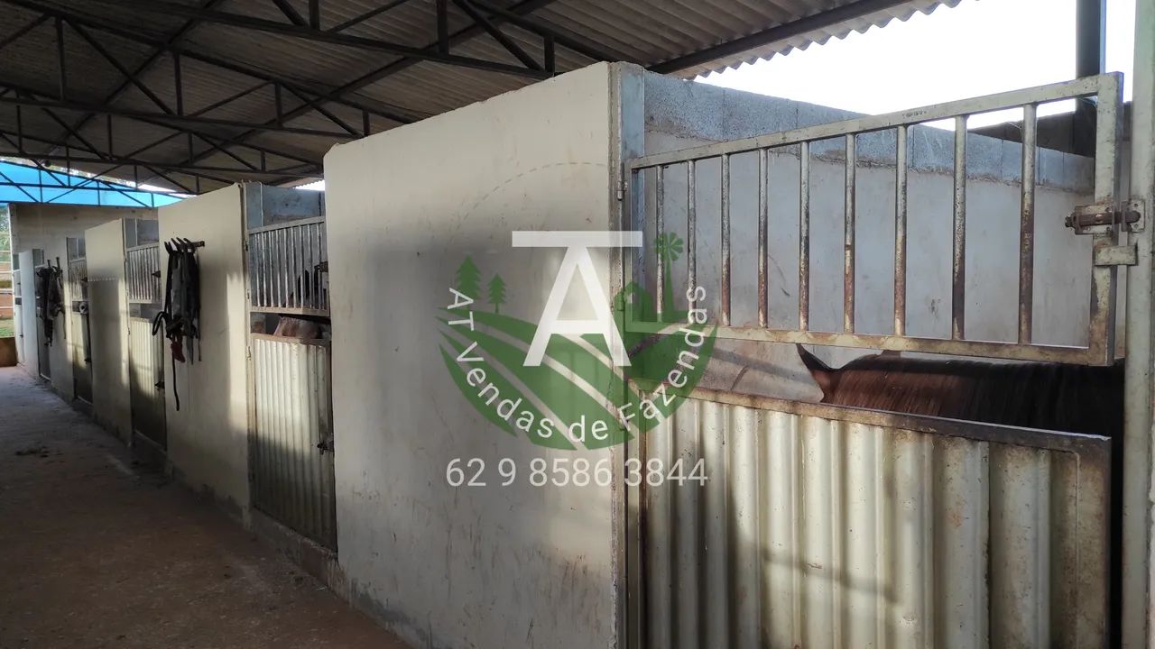 Haras em Goiânia 