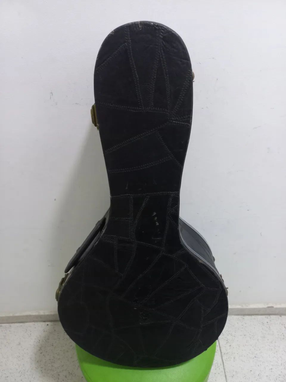 Case de luxo para banjo