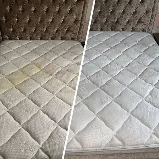 Limpeza e higienização  - Foto 3
