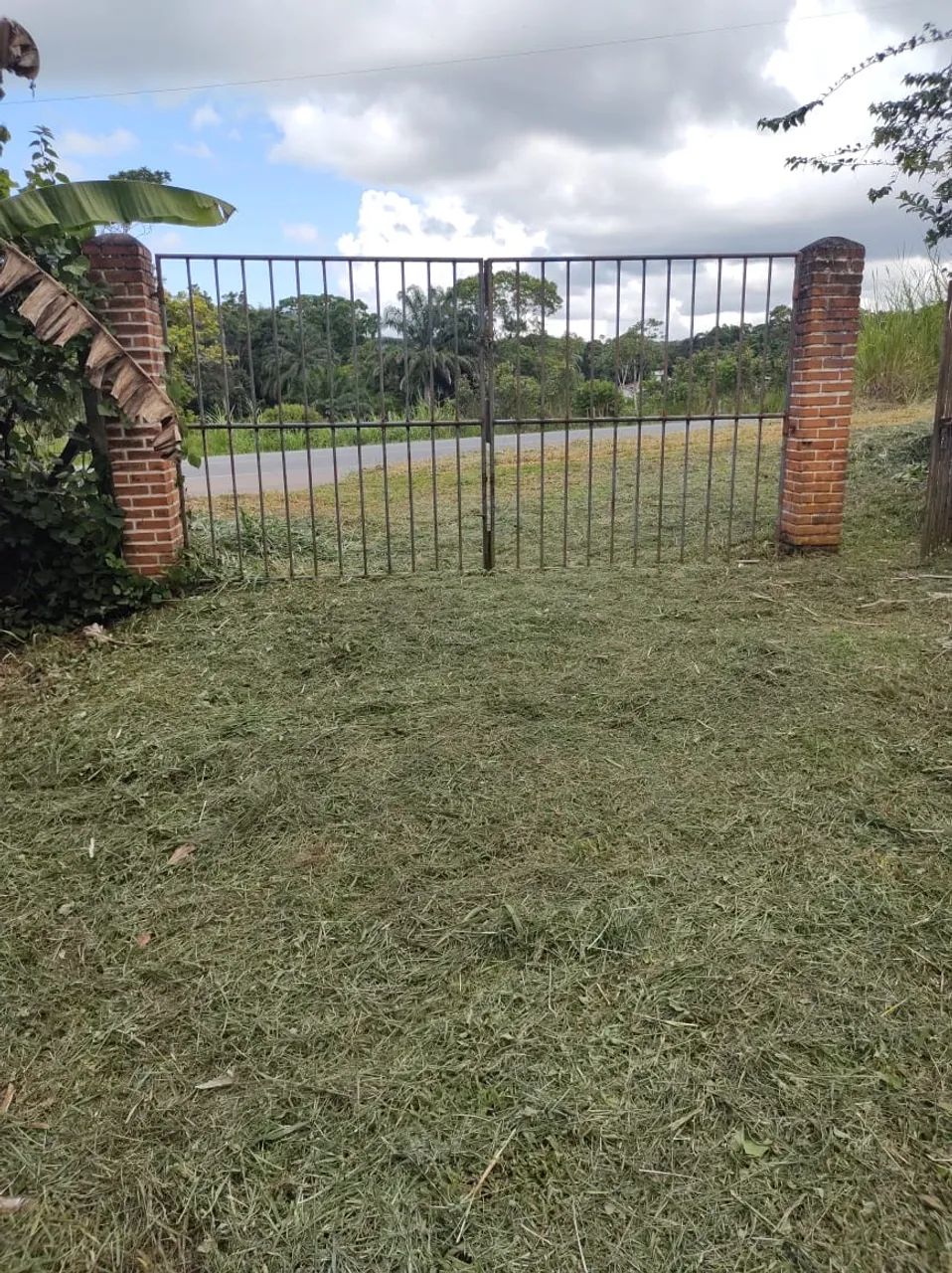 Excelente Sítio na beira da estrada ilhéus Itabuna  - Foto 4