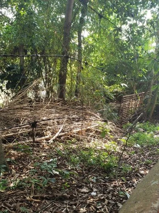EDIFICAÇÃO COM COMERCIO + GRANDE TERRENO - Foto 4