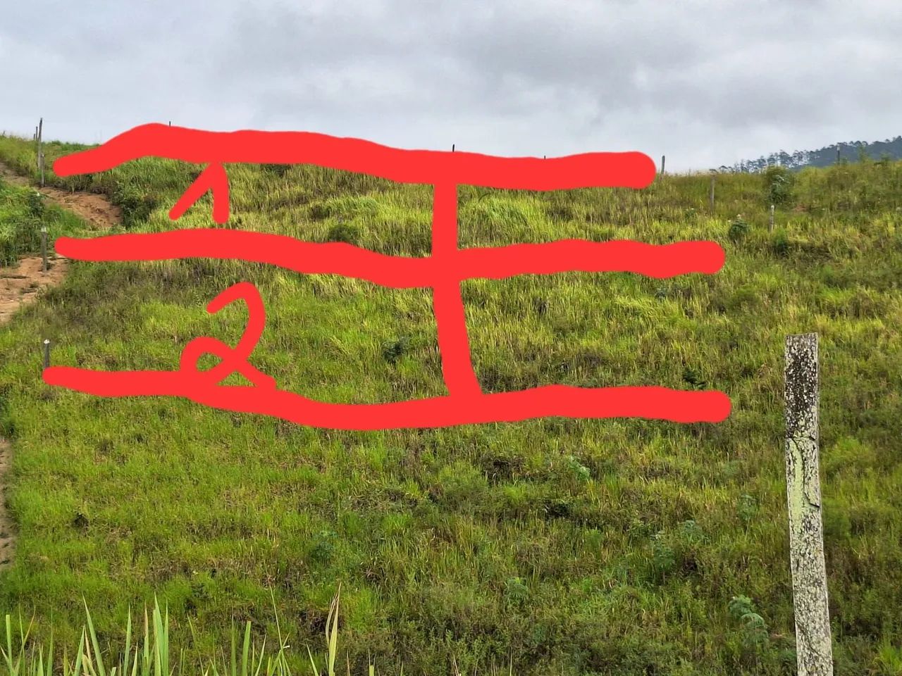 Foto - Itatiaia - 