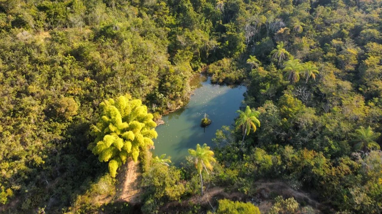 Fazenda no interior de Minas Gerais - Foto 2