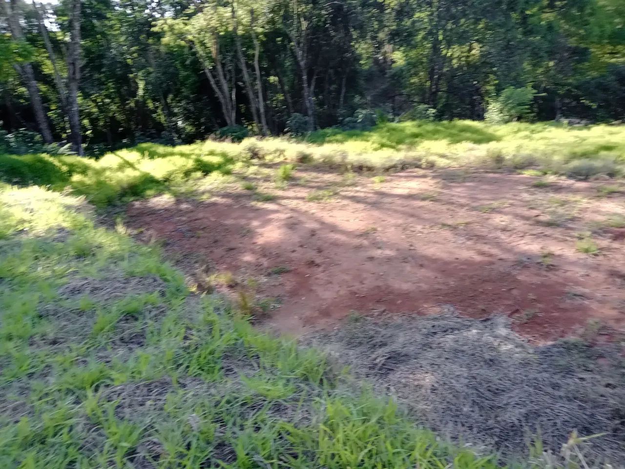 VENDO MEU TERRENO EM IBIUNA 1.100 METROS  - Foto 3