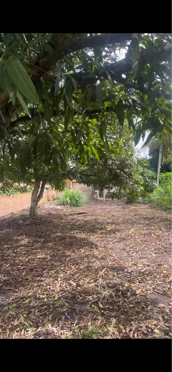 Vende-se Chacara com uma tarefa de terra toda murada 