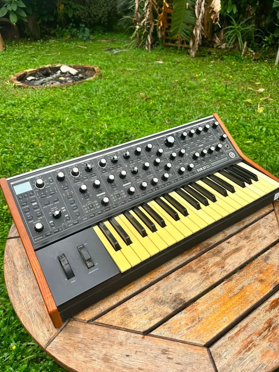 Moog subsequente