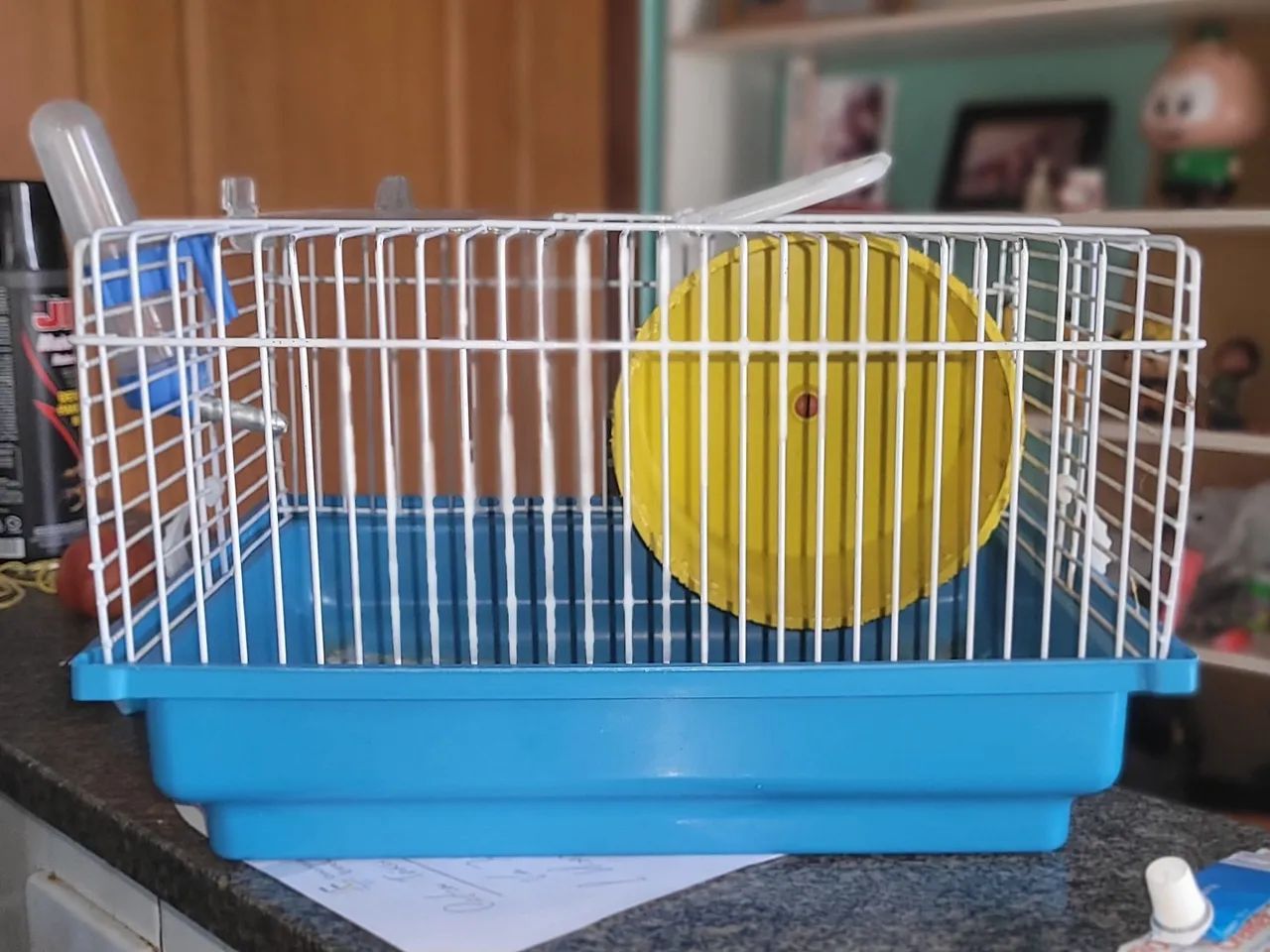 kit para hamster