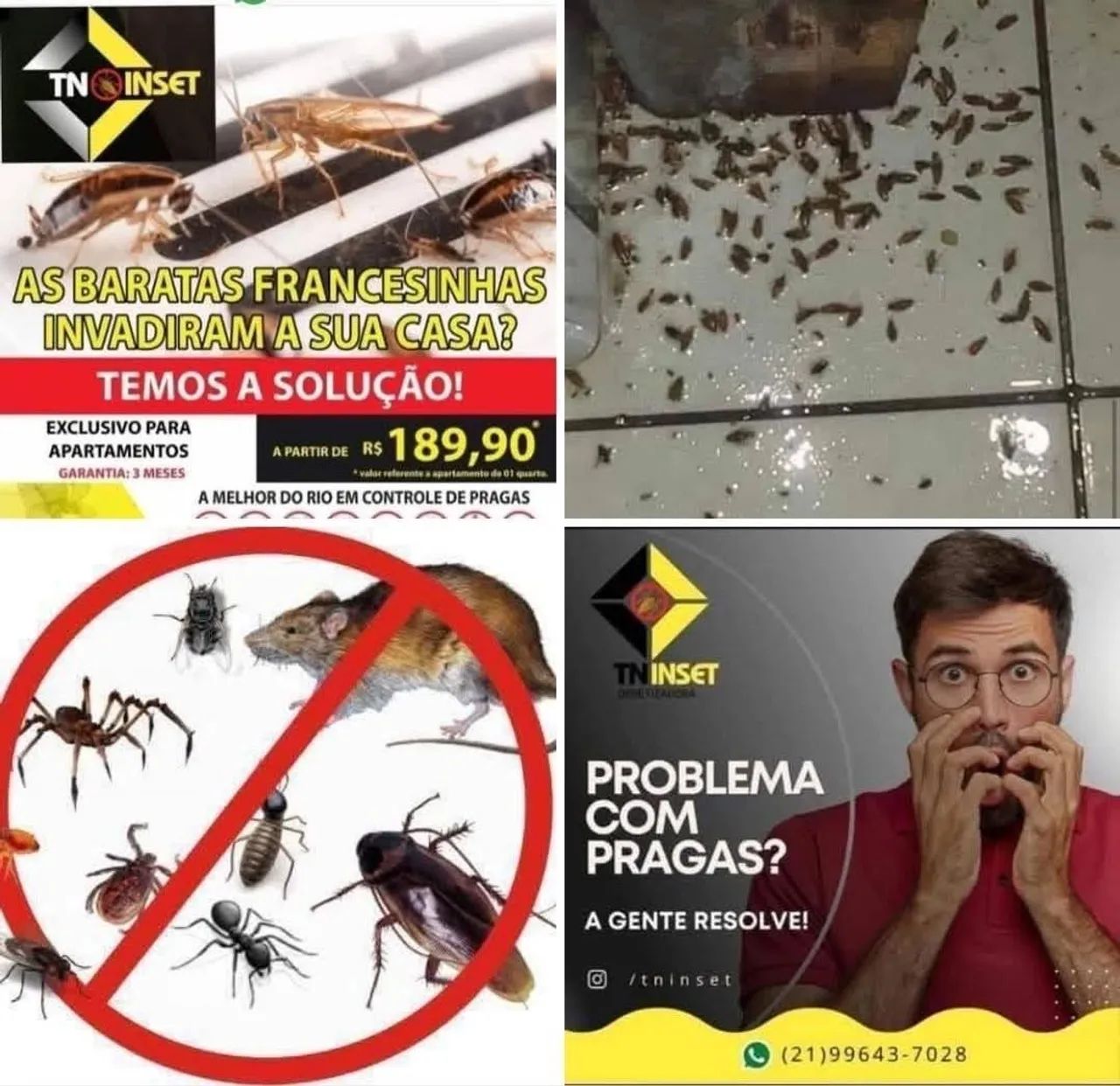 DEDETIZAÇÃO SEM CHEIRO - Foto 4