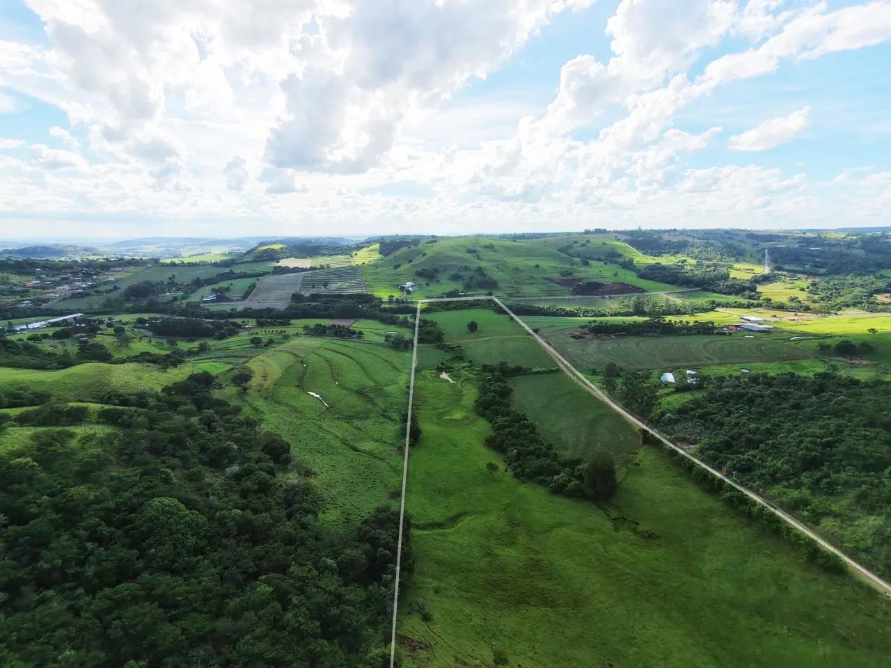 Sítio de 7 Alqueires em Jandaia do Sul  - Foto 5