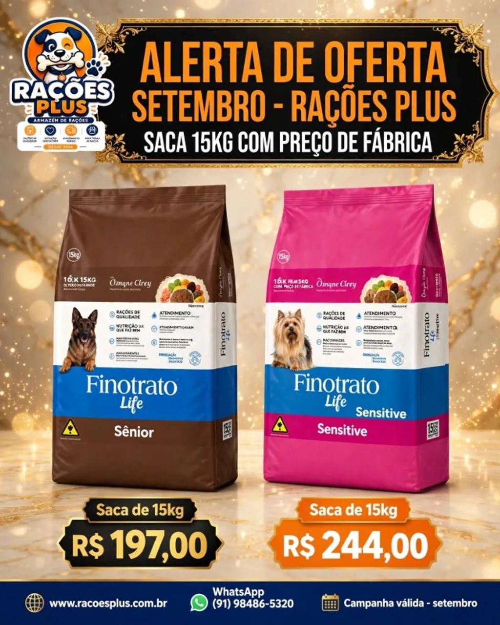 Cães e Gatos - Foto 5