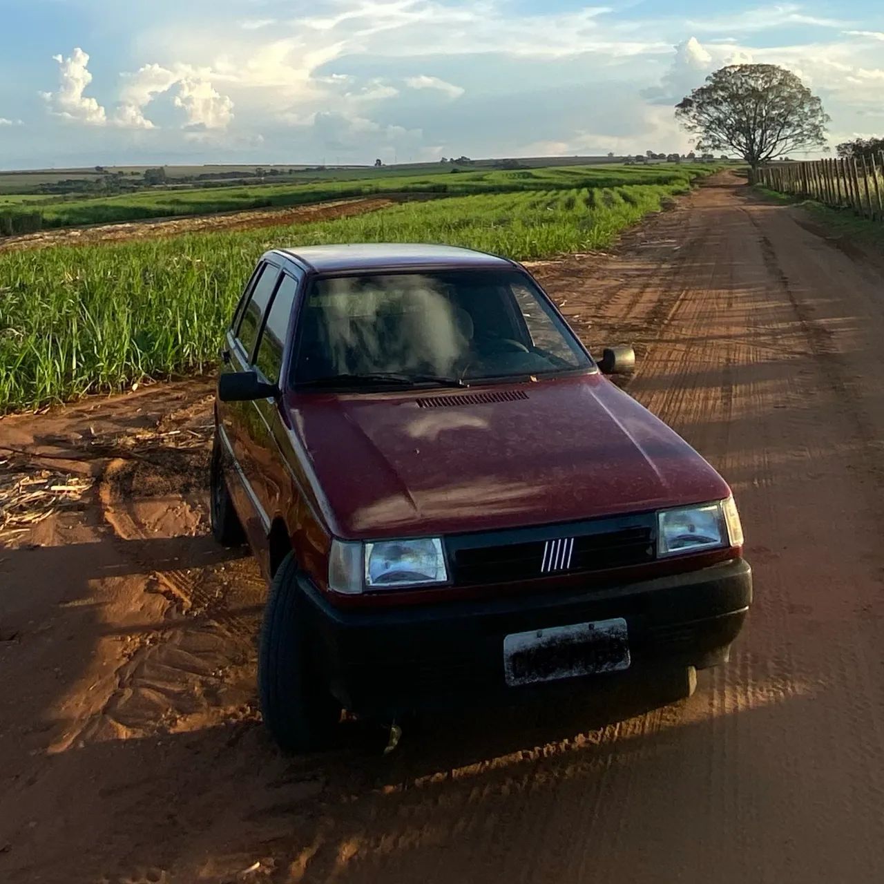 Fiat Uno Mille SX 2P E 4P 1998 - Foto 2