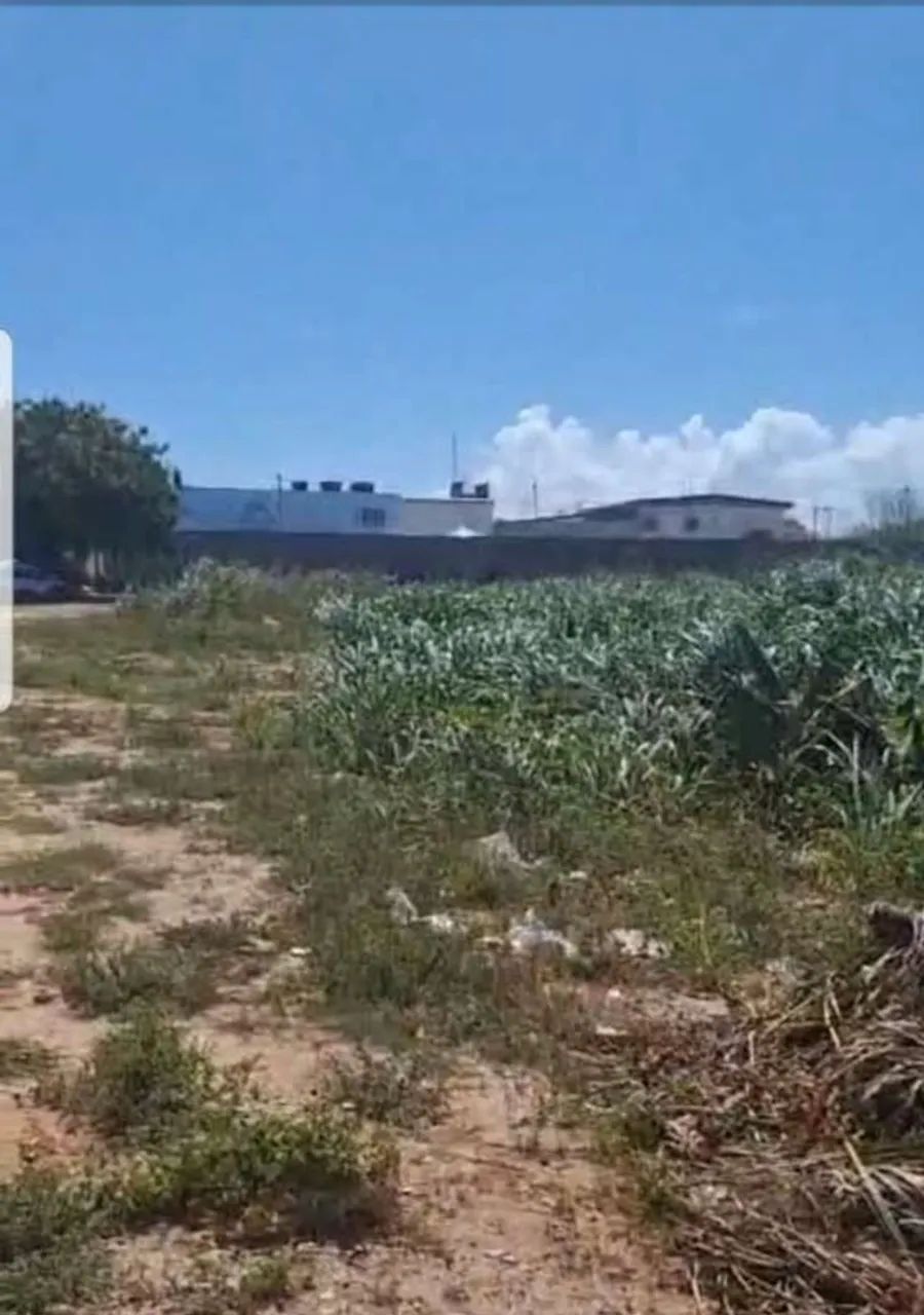 Terreno Stella Maris (Aluguel) - Foto 5