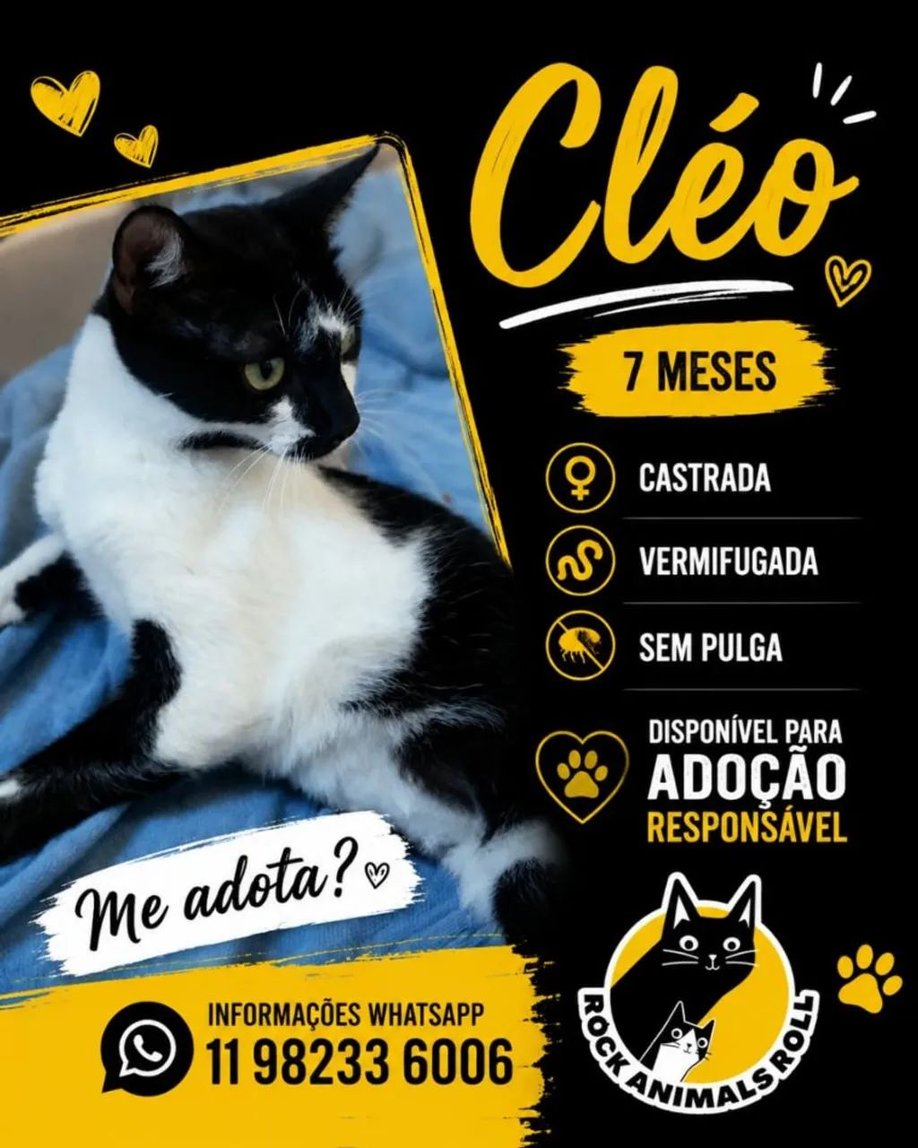 Cléo. 7 meses  castrada 
