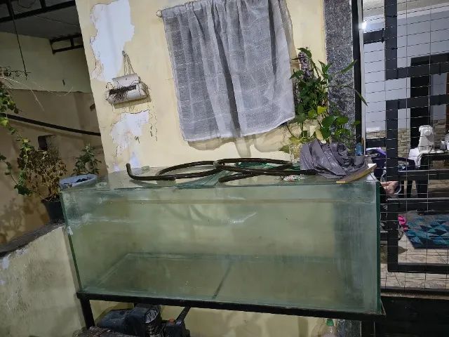 AQUÁRIO PEIXES Água DOCE SALGADA