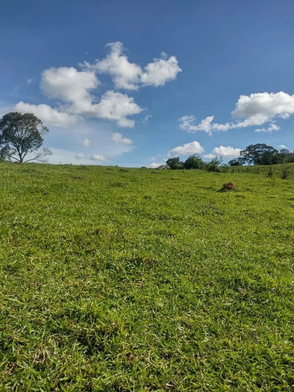 *OFERTA RANCHO EM CORUMBÁ-GO* - Foto 4