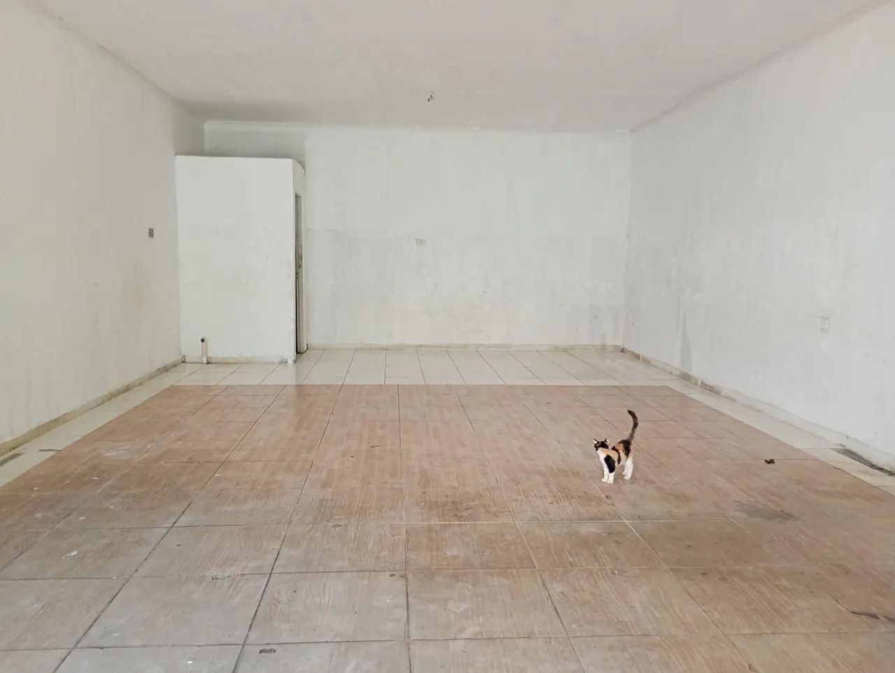 Salão comercial Conceição dos Ouros  - Foto 2