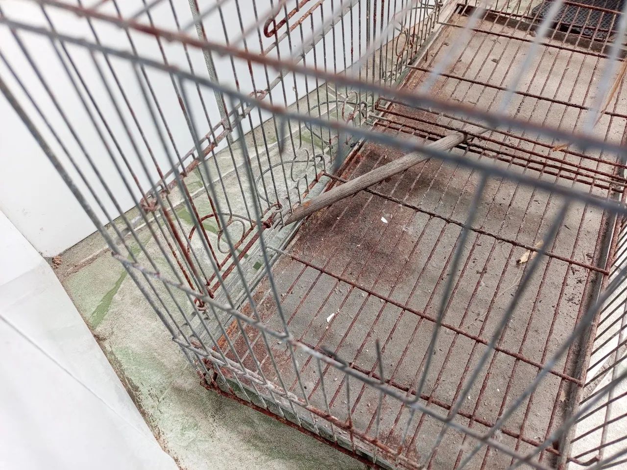 Gaiola - Foto 2